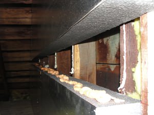 An effective attic insulation system in a Williamstown home