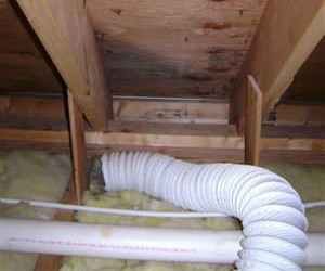 Mold caused by dryer vent in attic
